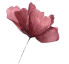 Ikigai terapie manualne twarzy logo