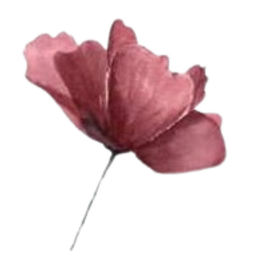 Ikigai terapie manualne twarzy logo